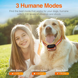 Remote Dog Training Collar 3300ft PD529