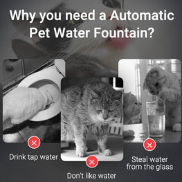 PawFriends Family™ Automatic Pet Water Dispenser