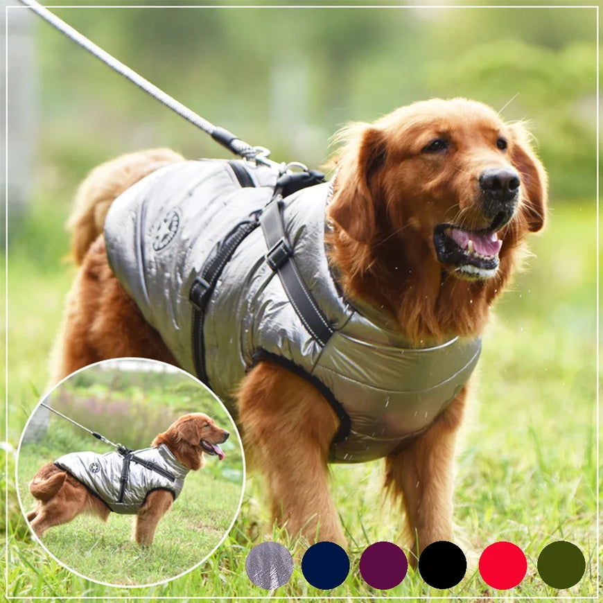 Large Pet Dog Jacket With Harness