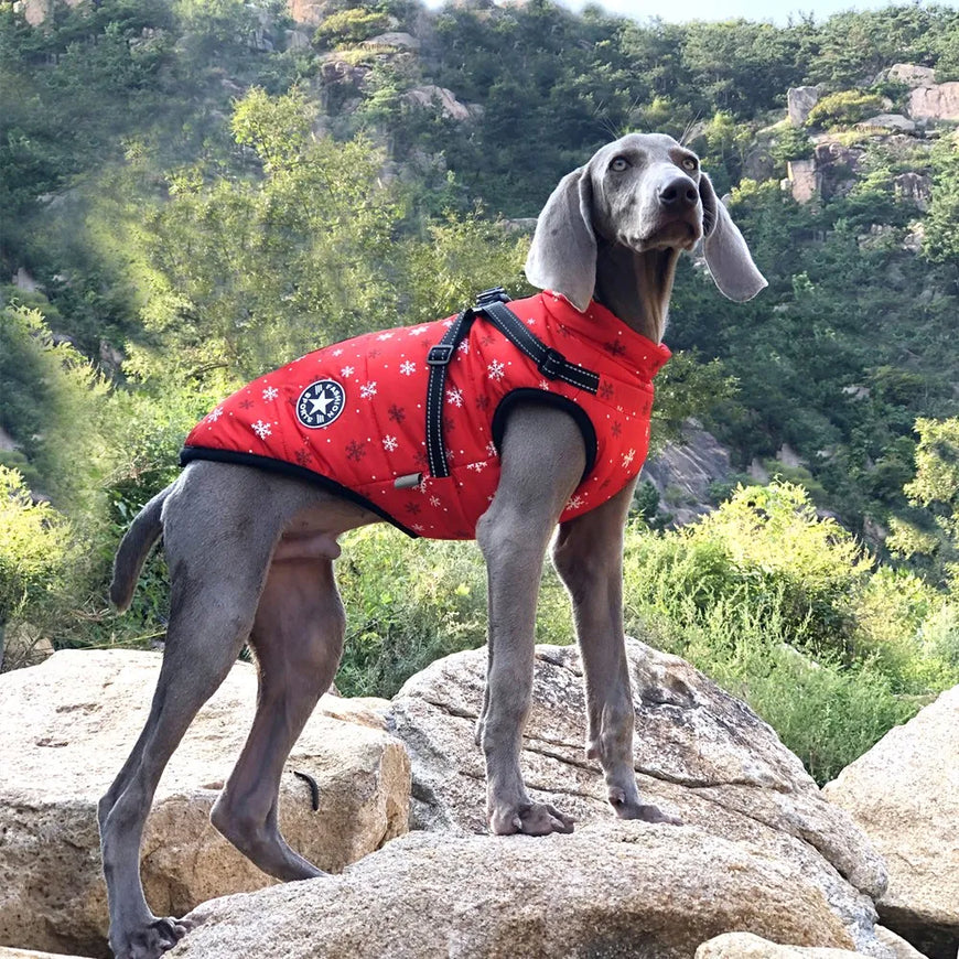 Large Pet Dog Jacket With Harness