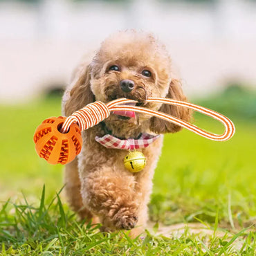 Dog Ball Toy with Rope